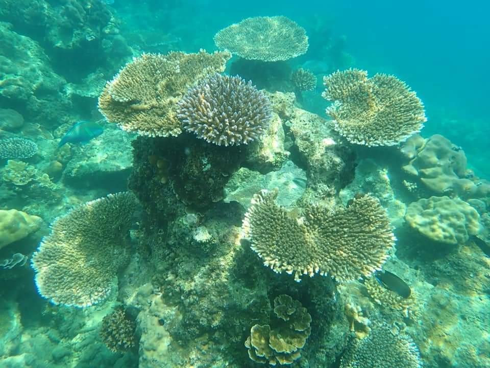 Desa Wisata Balefadorotuho